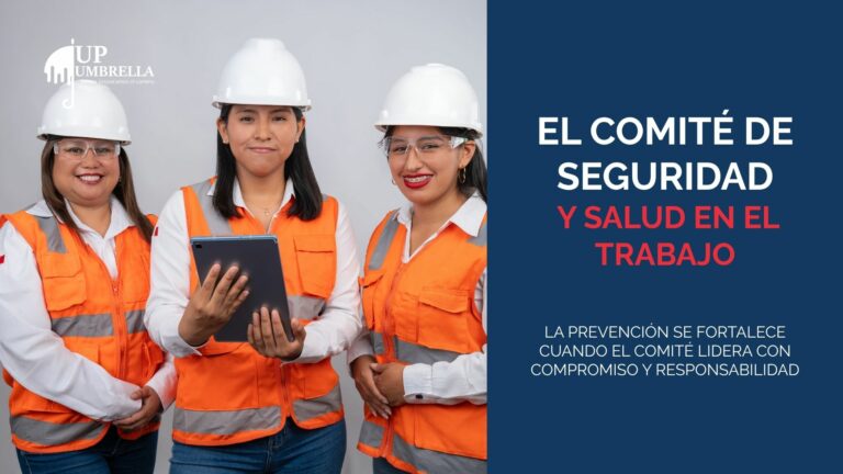 EL COMITE DE SEGURIDAD Y SALUD EN EL TRABAJO